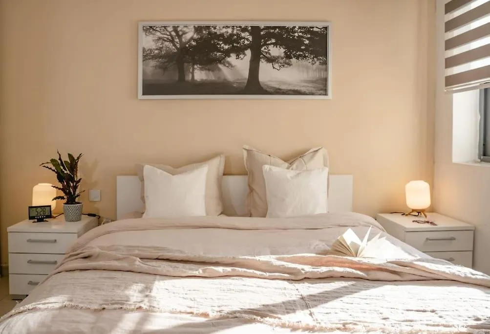 Apartment Cozy 1Bdr Penthouse In Gzira! Near Beach Front And Wifi Malta